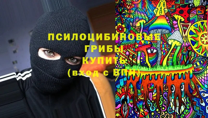 Галлюциногенные грибы Cubensis  гидра ссылка  Бронницы 